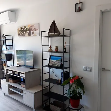 Festasol 306